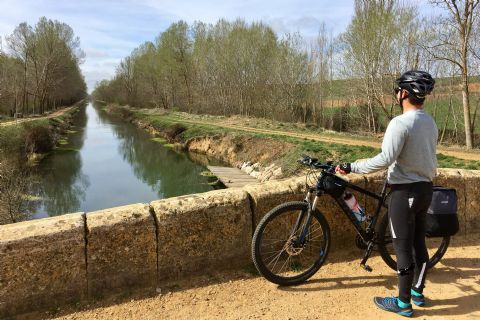 Viaje organizado en bicicleta: Canal de Castilla: wine tourism and luxury in 7 stages